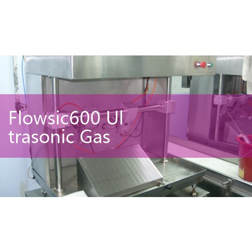 Flowsic600 Ultrasonic Gas Flow Meter Manual: High-Accuracy Custody Transfer for Natural Gas Utilities